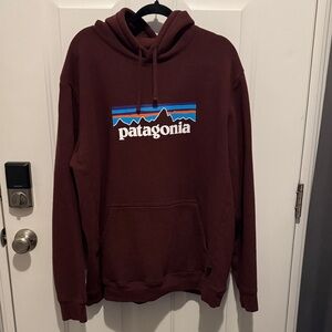 Patagonia Men's Burgundy Hoodie